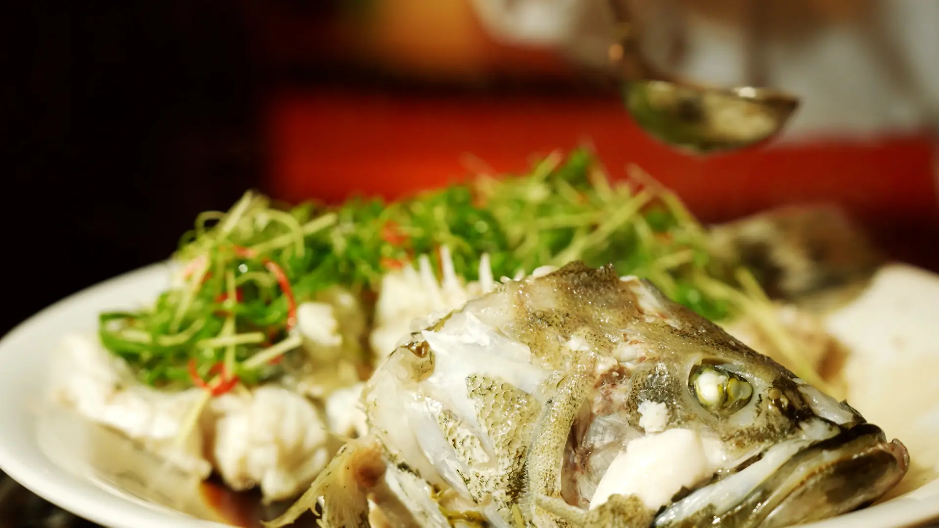 Cá song hấp xì dầu | Món ngon ở Hà Thành | 30/08/2025